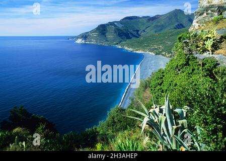 FRANKREICH. HAUTE CORSE (2B) KAP KORSIKA. NONZA BEACH Stockfoto