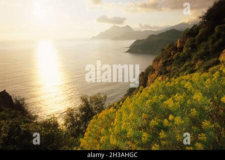 FRANKREICH. SÜDKORSIKA (2A) BUCHT VON PORTO Stockfoto