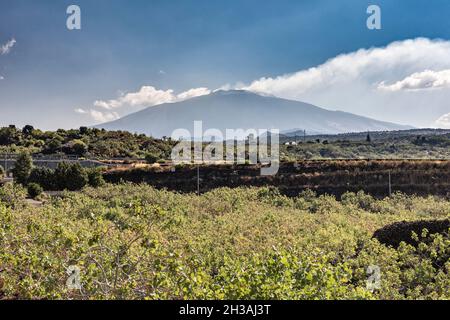 Der Vulkan Ätna oberhalb der Pistazien in der Nähe der Stadt Bronte (Sizilien, Italien) Stockfoto