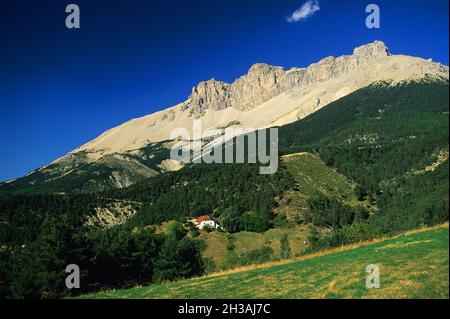 FRANKREICH. HAUTES-ALPES (05) DEVOLUY-MASSIV.. HÖHEPUNKT VON BURE Stockfoto