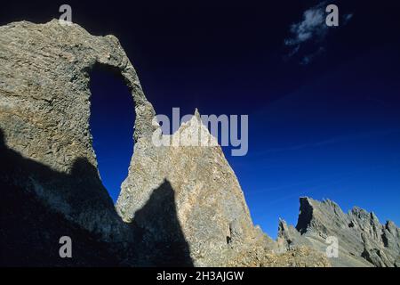 FRANKREICH. SAVOIE (73) HAUTE-TARENTAISE. SPALTNADEL VON TIGNES Stockfoto