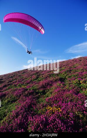 FRANKREICH. MANCHE (50) NORMANDIE. HALBINSEL COTENTIN (PRESQU'ILE DU CONTENTIN). PARAGLIDING Stockfoto