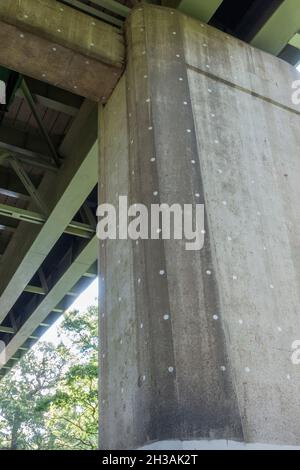 Weiße Punkte auf der Betonbasis der M4-Überführung im Boston Manor Park, Brentford, London, Großbritannien. Stockfoto