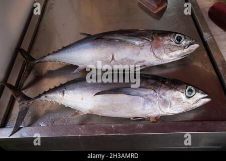 Frische Meeresfrüchte, Fisch auf Eis auf dem Fischmarkt Stockfoto