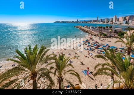 Touristen in Benidorm Strand. Spanische Urlaubsstadt im Mittelmeer. Stockfoto