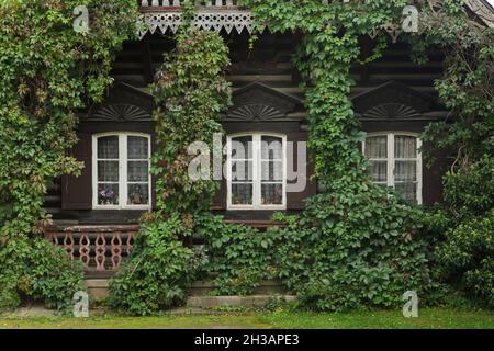 Detail eines der traditionellen russischen Holzhäuser mit Virginia-Kriechgang (Parthenocissus quinquefolia) in der Russischen Kolonie Alexandrowka (Russische Kolonie Alexandrowka) in Potsdam. Stockfoto