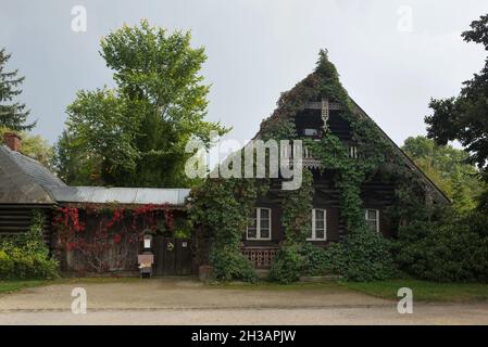 Eines der traditionellen russischen Holzhäuser mit Virginia-Kriechgang (Parthenocissus quinquefolia) in der Russischen Kolonie Alexandrowka (Russische Kolonie Alexandrowka) in Potsdam, Deutschland. Stockfoto