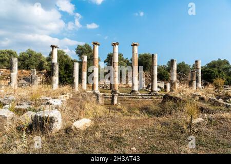 Ruinierte Säulen der ionischen Doppelkolonnade Stoa in Agora Marktplatz Bereich der antiken Stadt Nysa in Aydin Provinz der Türkei. Die Agora war ein breiter Markt Stockfoto