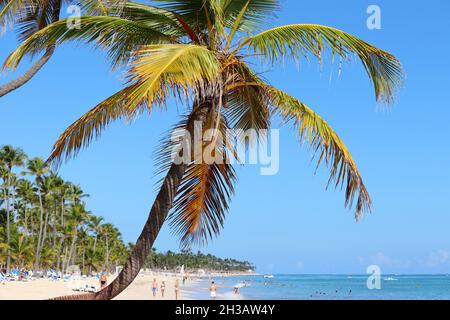 Tropischer Strand mit Kokospalmen, Sonnenbaden auf weißem Sand und Schwimmen im Wasser. Touristenschar auf dem Meeresgebiet in der Dominikanischen Republik Stockfoto