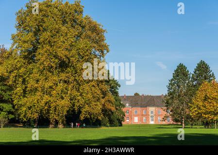 Bunte Herbststimmung in einem Park an einem sonnigen Oktobertag Stockfoto