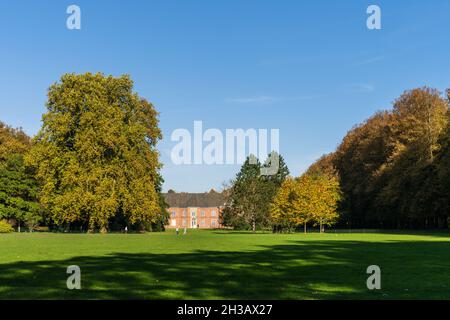 Bunte Herbststimmung in einem Park an einem sonnigen Oktobertag Stockfoto