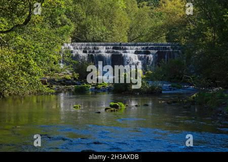 Der Fluss Wye stürzt über den Monsal Dale Wehr, umgeben von Bäumen und Sträuchern. Stockfoto