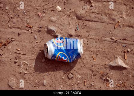 Ausrangierte Fosters Bier kann auf dem Boden bei A1 in Skellow, in der Nähe von Doncaster, South Yorkshire Stockfoto