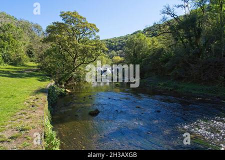 Steht am Ufer des Flusses Wye in Monsal Dale und blickt an einem hellen Spätsommermorgen auf ein Wehr. Stockfoto