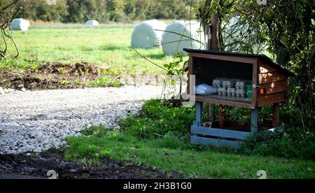 Frische Eier zum Verkauf an der Seite einer Farm Track. Die Eier werden in einer rustikalen Schachtel mit einer Ehrlichkeitskiste zurückgelassen. Ballen sind auch auf dem Feld zu sehen Stockfoto