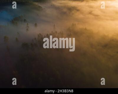 Luftaufnahme von epic Lichtstrahlen über die Felder im Herbst Stockfoto