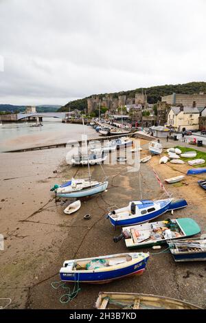 Conwy Quay und Strand mit Blick auf das Castle, Conwy, Clwyd, Wales Stockfoto