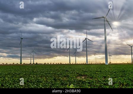 Windkraftanlagen im Solar Valley , bei Bitterfeld-Wolfen in Sachsen-Anhalt, Deutschland | DEUTSCHLAND Solartal , Windpark bei Bitterfeld Wolfen Stockfoto