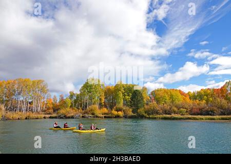 Ein Blick auf Espen entlang des mittleren Deschutes im Oktober. Dieser Abschnitt des Flusses befindet sich in der Nähe von Bend, Oregon. Stockfoto