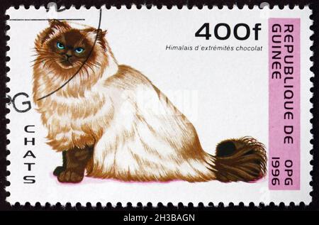 GUINEA - UM 1996: Eine in Guinea gedruckte Marke zeigt Himalayan Cat, Domestic Cat, Felis Catus, um 1996 Stockfoto