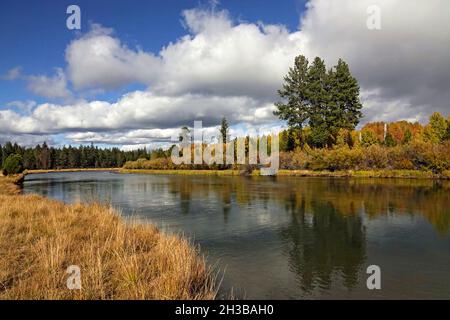 Ein Blick auf Espen entlang des mittleren Deschutes im Oktober. Dieser Abschnitt des Flusses befindet sich in der Nähe von Bend, Oregon. Stockfoto