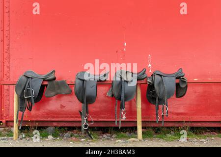 Braune Lederpferd-Sättel vor der Fahrt auf rotem Hintergrund Stockfoto