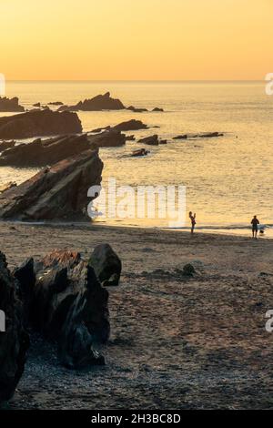 Felsige Klippen und Strand im Sommer bei Ilfracombe an der Küste von North Devon im Südwesten Englands. Stockfoto