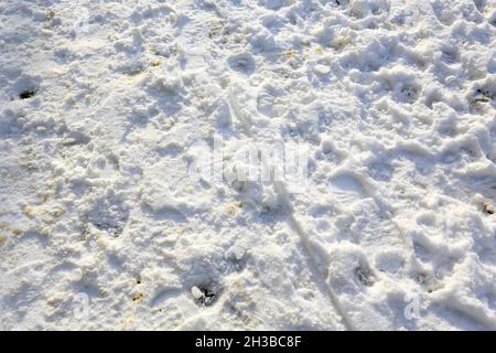 Schnee bedeckt den Straßenbelag, auf dem sich sichtbare Aufdrucke von vielen Menschen befinden, die diesen Weg zuvor passiert haben. Stockfoto