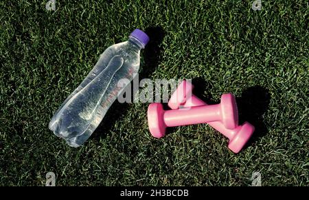 Gesundes Lifestyle-Konzept. Wasserhaushalt im Körper beim Training. Langhanteln und Flasche auf grünem Gras. Sportgerät und -Ausrüstung. Kurzhanteln im Park Stockfoto