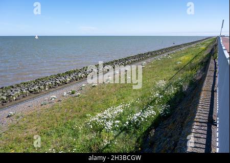 Blick auf Afsluidijk, langer Damm mit Autobahn zum Schutz der Niederlande vor dem Wasser der Nordsee Stockfoto