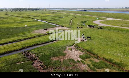 Luftaufnahme auf grünen Poldern, Wiesen und Wassertransportkanal in Süd-Beveland, Zeeland, Niederlande im Sommer Stockfoto