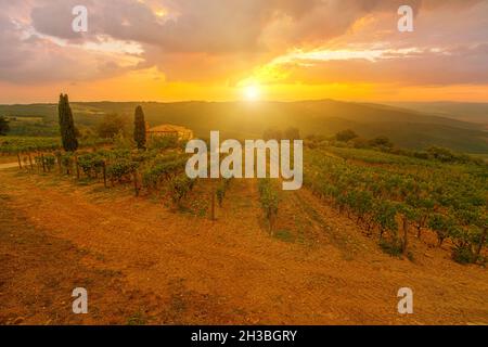 Luftlandschaft zwischen terrassierten Weinbergen des Weinbaudorfes Montalcino im toskanisch-emilianischen apennin. Italienische Landschaft und berühmte Weinverkostung Stockfoto