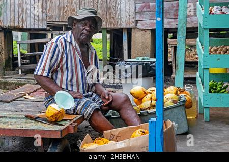 Schwarzer Mann verkauft Kokosnusssaft auf dem Markt in der Hauptstadt Port Elizabeth auf der Insel Bequia, Saint Vincent und den Grenadinen in der Karibik Stockfoto