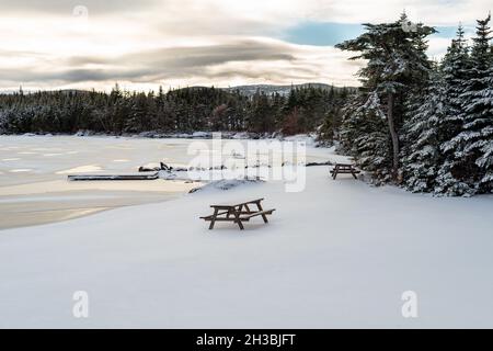 An einem eisbedeckten See befindet sich ein hölzerner Picknicktisch. Der Rand des Teiches ist mit frischem, weißem Schnee bedeckt. Rechts sind Bäume Stockfoto