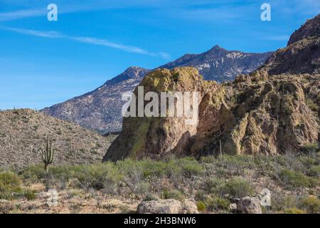 Wandern im Catalina State Park, Arizona.x Stockfoto