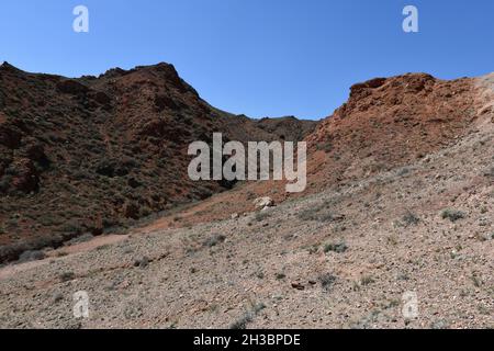 Die Textur des Felsens der alten Schlucht, kleine Grasbüsche und rote Rasse Stockfoto