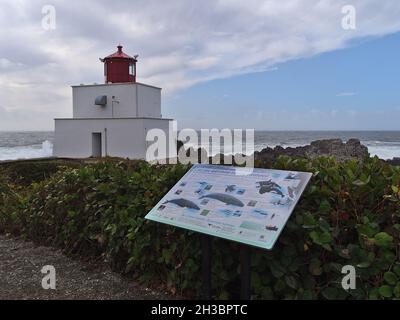 Blick auf den Amphitrite Point Lighthouse auf dem Wild Pacific Trail in Ucluelet, Vancouver Island, mit einem Brett, das über die marine Tierwelt informiert. Stockfoto