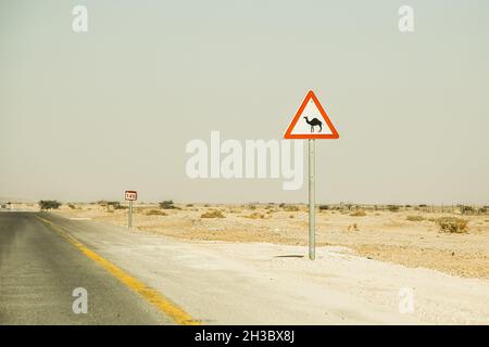 Straßenschild Vorsicht Kamele überqueren. Hüten Sie sich vor Kamelen auf dem Wüstenautobahn. Stockfoto