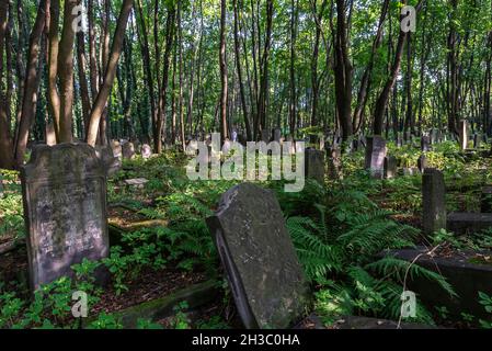 Warschau, Polen - 2. September 2018: Gräber und Mausoleen auf dem jüdischen Friedhof Okopowa oder Cmentarz Zydowski in Warschau, Polen Stockfoto