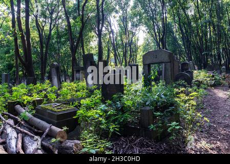 Warschau, Polen - 2. September 2018: Gräber und Mausoleen auf dem jüdischen Friedhof Okopowa oder Cmentarz Zydowski in Warschau, Polen Stockfoto