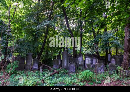 Warschau, Polen - 2. September 2018: Gräber und Mausoleen auf dem jüdischen Friedhof Okopowa oder Cmentarz Zydowski in Warschau, Polen Stockfoto