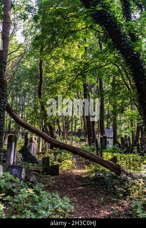 Warschau, Polen - 2. September 2018: Gräber und Mausoleen auf dem jüdischen Friedhof Okopowa oder Cmentarz Zydowski in Warschau, Polen Stockfoto