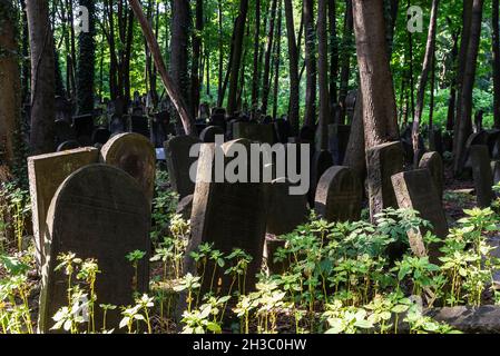 Warschau, Polen - 2. September 2018: Gräber und Mausoleen auf dem jüdischen Friedhof Okopowa oder Cmentarz Zydowski in Warschau, Polen Stockfoto