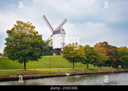 Traditionelle Windmühle 'Bonne-Chièremolen' am Wall Kruisvest in der historischen Stadt Brügge, Belgien. Bäume mit Herbstblattfarbe entlang des Kanals. Stockfoto