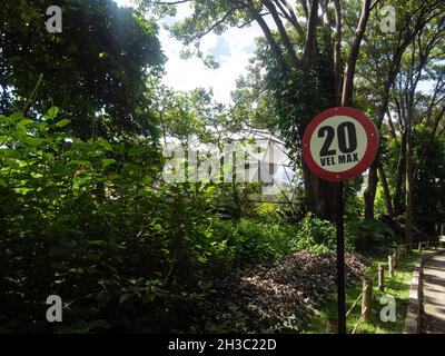 Schild Mit Der Aufschrift „20 Vel. Max' (20 km pro Stunde Höchstgeschwindigkeit) im grünen unberührten Botanischen Garten Stockfoto