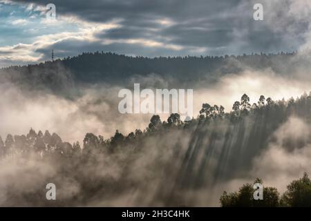 Nebel im Aguera River Valley Stockfoto