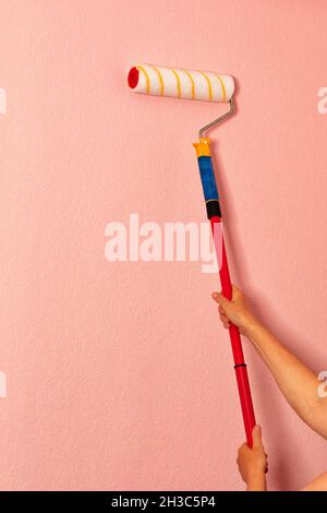 Weibliche Hände des Malers halten eine Malerrolle auf einem langen Teleskopstab vor dem Hintergrund einer rosa Wand. Vertikales Bild. Speicherplatz kopieren. Stockfoto