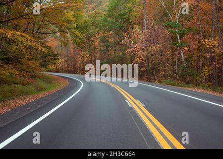 Kurvenreiche Autobahn-Straße durch den Wald im Herbst mit Herbstlaub im Oktober Stockfoto