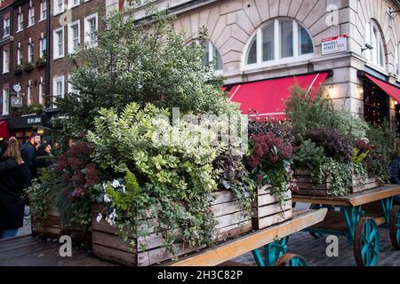 London, Großbritannien - 20. November 2020, Flora füllte den Wagen und warb für den berühmten alten Londoner Blumenmarkt Covent Garden. Stockfoto