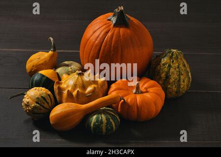 Nahaufnahme von verschiedenen Arten von geernteten Kürbissen auf Holzoberfläche - Stillleben im Herbst Stockfoto